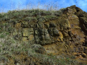 The Rowley Rag (image © Mike Poulton)