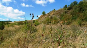 Blue Rock Quarry (image © Mike Poulton)