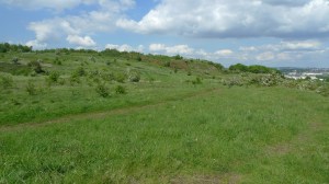 The Rowley Hills (image © Mike Poulton)