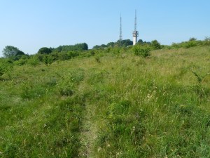 The Rowley Hills (image © Mike Poulton)