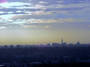 Early morning on the Rowley Hills, a great time for vismigging (observing visible migration of birds) (image © Ian Whitehouse).