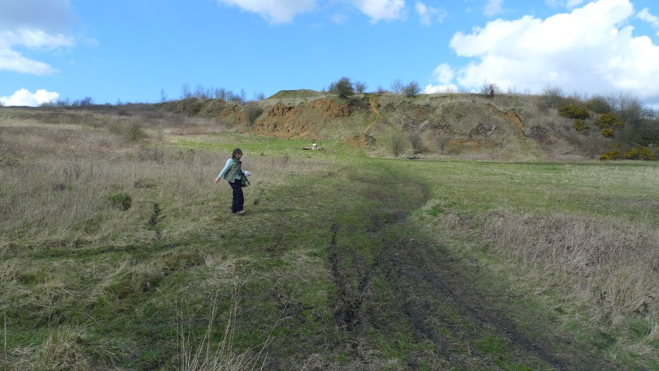 Lynn Poulton scattering Harebell seeds on the Wildlife Trust site - 31st March 2016 (image © Mike Poulton)